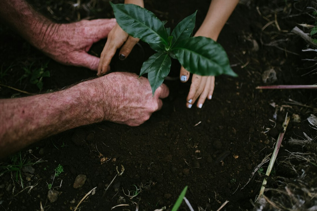 family planting trees